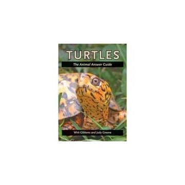 TURTLES: THE ANIMAL ANSWER GUIDE