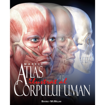Marele atlas ilustrat al corpului uman
