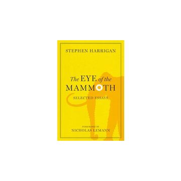 The eye of the mammoth