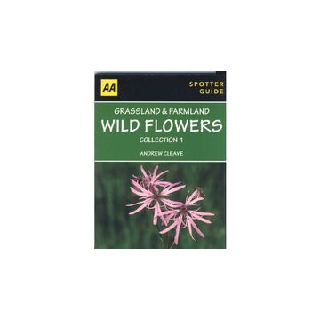 Grassland & Farmland Wild Flowers Collection 1
