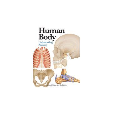 Human Body: Understanding Anatomy