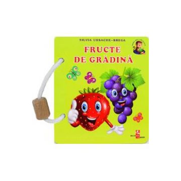 Fructe de gradina - Silvia Ursache-Brega