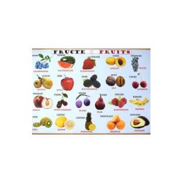 Plansa: Fructe - Legume