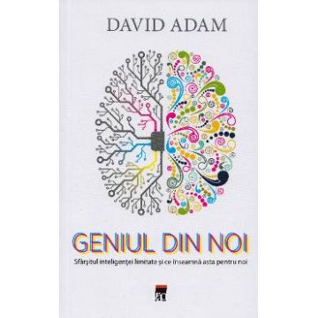 Geniul din noi - David Adam