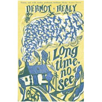Long Time, No See - Dermot Healy