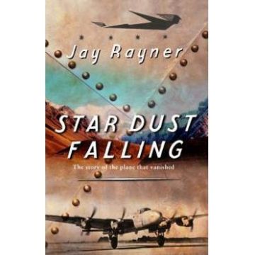 Star Dust Falling - Jay Rayner