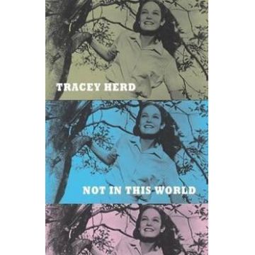 Not in This World - Tracey Herd