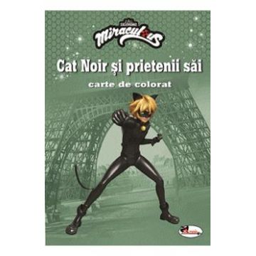 Cat Noir si prietenii sai. Carte de colorat