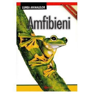 Enciclopedie: Amfibieni