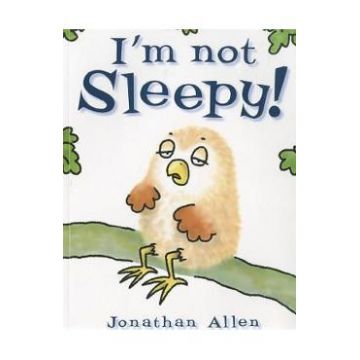 I'm Not Sleepy - Jonathan Allen