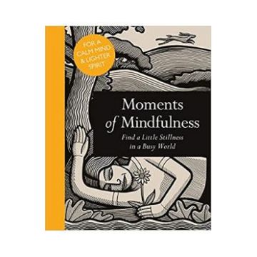 Moments of Mindfulness - Adam Ford
