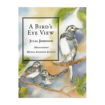 A Bird's Eye View - Julia Johnson, Donna Acheson-Juillet