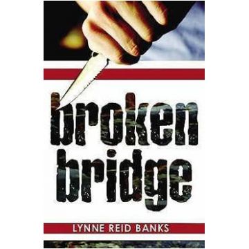 Broken Bridge - Lynne Reid Banks
