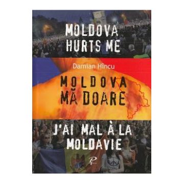 Moldova ma doare - Damian Hincu