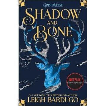 Shadow and Bone. Shadow and Bone #1 - Leigh Bardugo