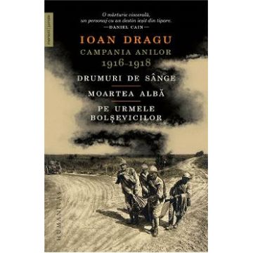 Campania anilor 1916-1918 - Ioan Dragu