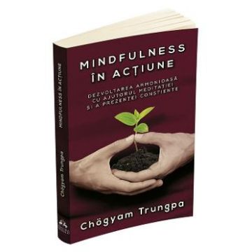 Mindfulness in actiune - Chogyam Trungpa