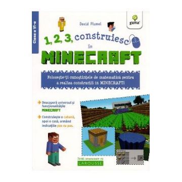 1, 2, 3, construiesc in Minecraft - David Plumel