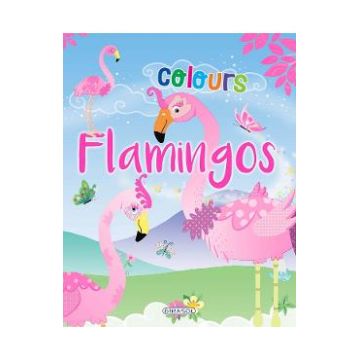 Flamingos colours: Roz