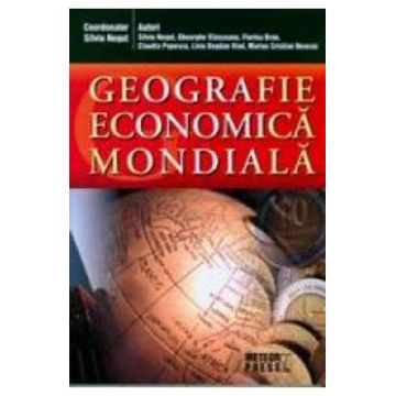 Geografie economica mondiala - Silviu Negut, Gheorghe Vlasceanu, Florina Bran