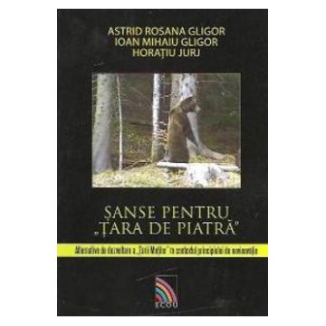 Sanse pentru tara de piatra - Astrid Rosana Gligor, Ioan Mihaiu Gligor, Horatiu Jurj