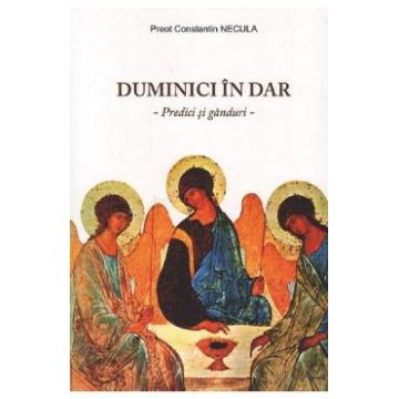 Duminici in dar - Constantin Necula