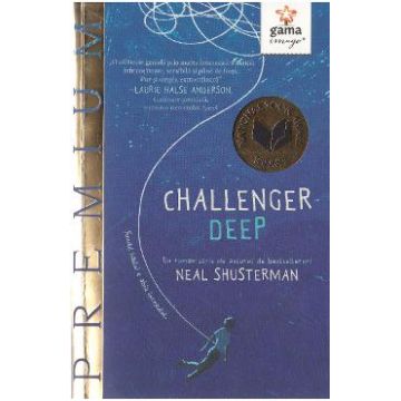 Challenger Deep - Neal Shusterman