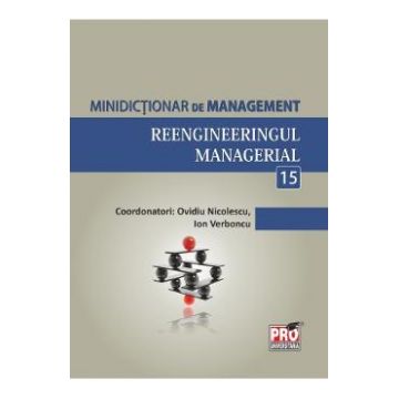 Minidictionar de management 15: Reengineeringul managerial - Ovidiu Nicolescu