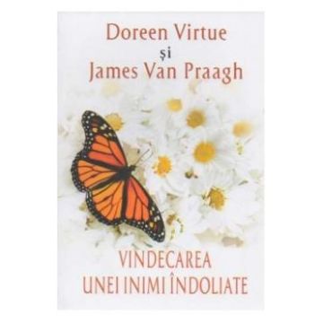 Vindecarea unei inimi indoliate - Doreen Virtue, James Van Praagh