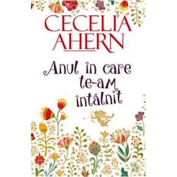 Anul in care te-am intalnit - Cecelia Ahern