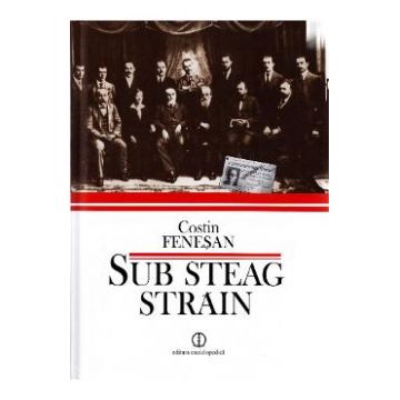 Sub steag strain - Costin Fenesan