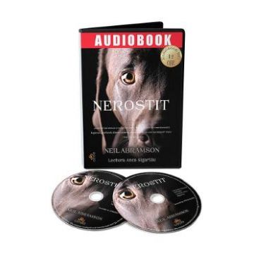 Audiobook. Nerostit - Neil Abramson