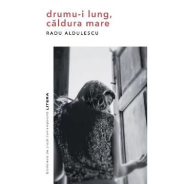 Drumu-i lung, caldura mare - Radu Aldulescu