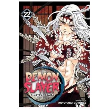 Demon Slayer: Kimetsu no Yaiba Vol.22 - Koyoharu Gotouge