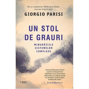 Un stol de grauri - Giorgio Parisi