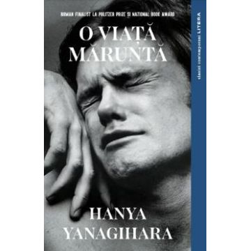 O viata marunta - Hanya Yanagihara