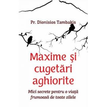 Maxime si cugetari aghiorite - Pr. Dionisios Tambakis