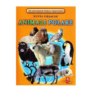 Animale polare - Cartonase - Silvia Ursache