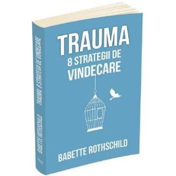 Trauma. 8 strategii de vindecare - Babette Rothschild