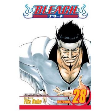 Bleach Vol.28 - Tite Kubo