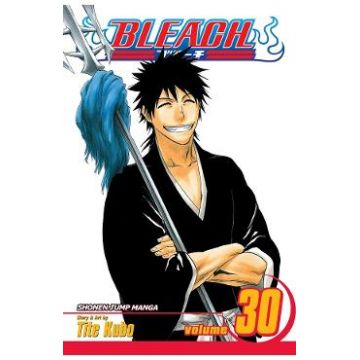 Bleach Vol.30 - Tite Kubo