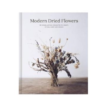 Modern Dried Flowers - Angela Maynard