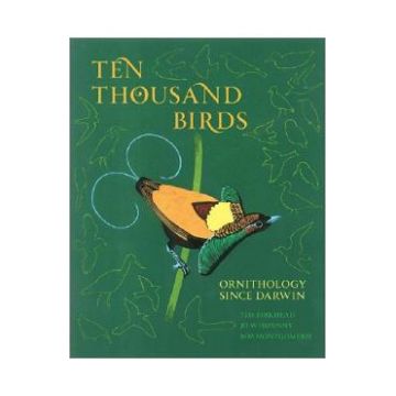 Ten Thousand Birds - Tim Birkhead, Jo Wimpenny, Bob Montgomerie