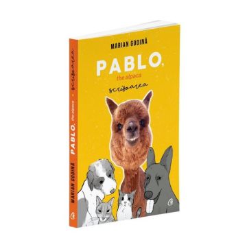 Pablo, the alpaca. Scrisoarea