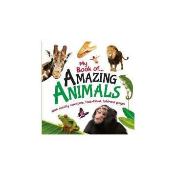 My Book Of Amazing Animals