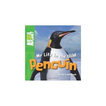 My Life In The Wild: Penguin