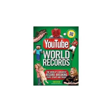 YouTube World Records 2017