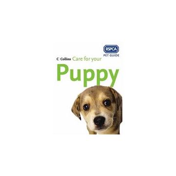 Care for Your Puppy (RSPCA Pet Guides)