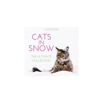 Cats in Snow