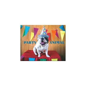 Party Animal (Dog)